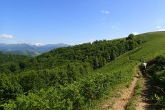 HP_PIC_Gascogne_25-1