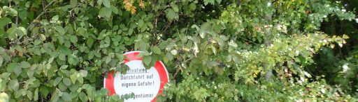 hp_pic_alballgau_12