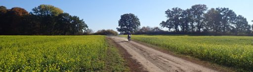 hp_pic_mecklenburg_11