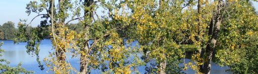 hp_pic_mecklenburg_13